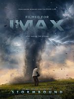 Poster der Stormbound