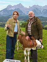 Poster der Die Maiwald: Verstärkung