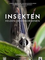 Poster der Insekten - Helden im Verborgenen