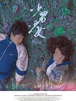 Poster der Shao nan shao nü