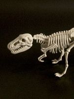 Poster der Little Boy