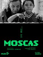 Poster der Flies