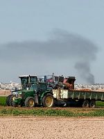 Poster der Collapse (Face à Gaza)