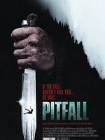 Poster der Pitfall