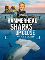 Poster der Hammerhead Sharks Up Close with Bertie Gregory