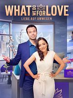 Poster der What We Do For Love - Liebe auf Umwegen