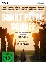 Poster der St. Petri Schnee