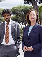 Poster der Die Diplomatin - Raubgräber