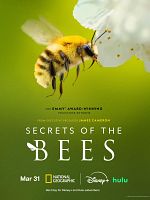 Bild von Secrets Of The Bees