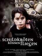 Poster der Schildkröten können fliegen