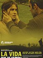 Poster der Das Leben, das dich erwartet