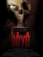 Poster der Der Fluch