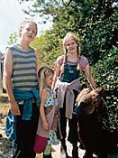 Poster der Der Bär ist los