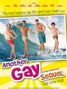 Poster der Another Gay Movie