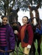 Bild von The Saddle Club