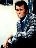 Poster der Detektiv Rockford: Anruf genügt