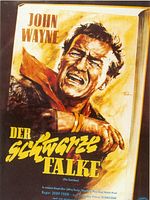 Poster der Der Schwarze Falke