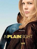 Bild von In Plain Sight - In der Schusslinie