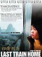 Poster der The Last Train Home