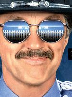 Bild von Picket Fences - Tatort Gartenzaun