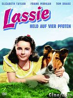 Poster der Held auf vier Pfoten