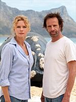 Bild von Das Geheimnis der Wale