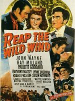 Poster der Piraten im Karibischen Meer