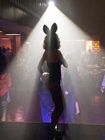 Poster der The Playboy Club