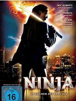 Poster der Ninja - Im Zeichen des Drachen