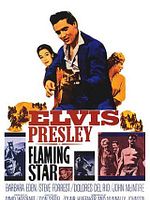 Poster der Flammender Stern