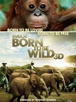 Poster der Zurück in die Wildnis