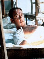 Poster der Blutige Ernte - The Harvest