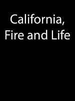 Poster der Die Sprache des Feuers