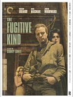 Poster der Der Mann in der Schlangenhaut