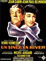 Poster der Ein Affe im Winter