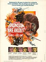 Poster der Der Mann ohne Nerven