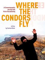 Poster der Where the Condors Fly