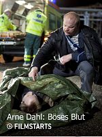 Poster der Arne Dahl: Böses Blut