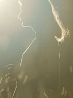 Poster der Lightfields