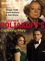 Poster der Capturing Mary