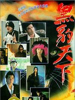 Poster der Black Panther Warriors