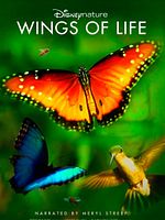 Poster der Wings of Life