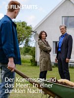 Poster der Der Kommissar und das Meer: In einer dunklen Nacht