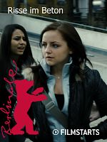 Poster der Risse im Beton