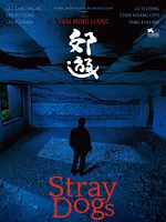 Poster der Stray Dogs