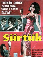 Poster der Sürtük