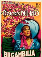 Poster der Bugambilia