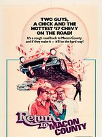 Poster der Wild Drivers