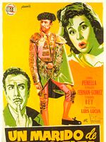 Poster der Un marido de ida y vuelta