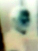 Poster der Aquilo que Fazemos com as Nossas Desgraças